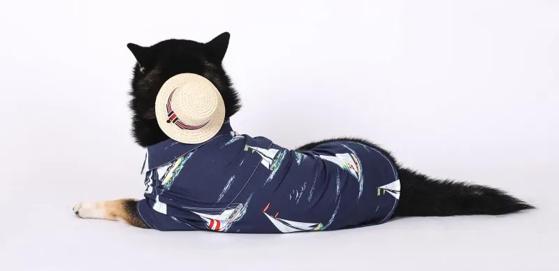 Husky big dogs clothes (13)