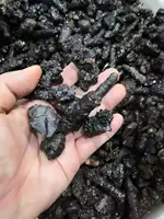 Rare Carbonado Black Diamond  Specimen 1