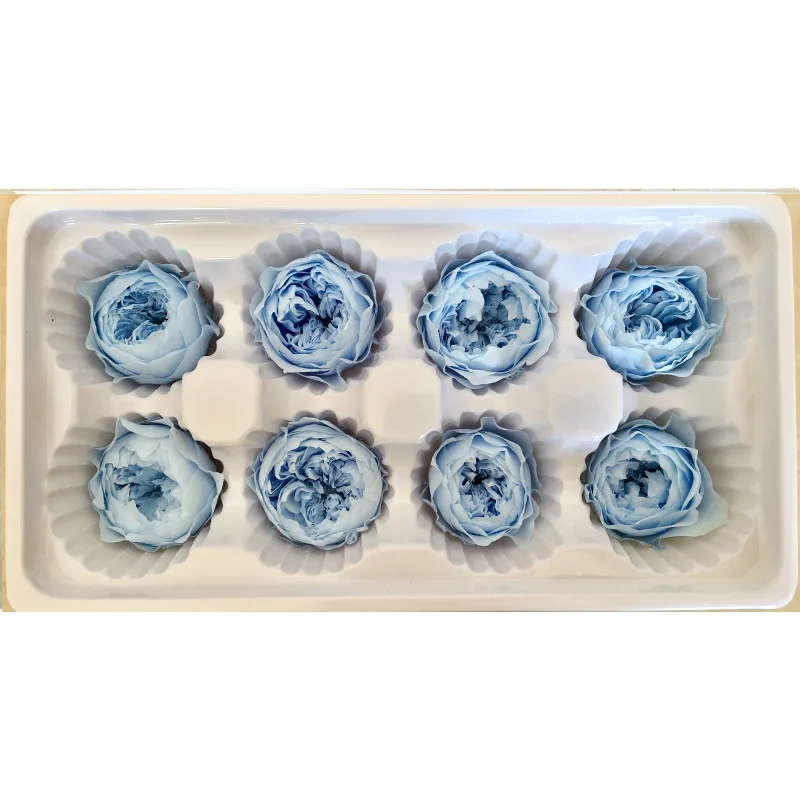 sky blue 8 шт./кор. вечный цветок Роза Остина диаметр цветка 4-5 см Высококачественный A вечные цветы материал для изготовления подарочной коробки - Цвет: sky blue