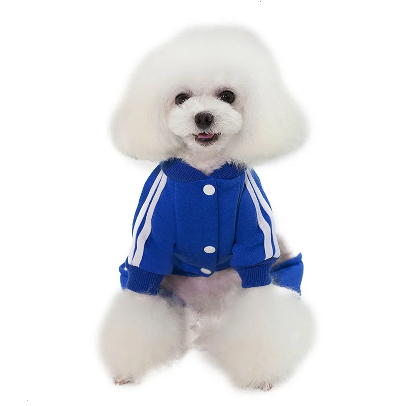 Pawstrip 4 цвета Собака Толстовка пальто спортивная одежда костюм для животных комбинезон для щенка маленькая собака одежда для чихуахуа Йоркский Petshop S-XXL