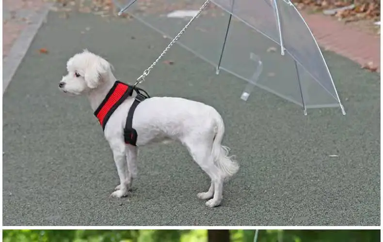 Convenient Transparent Rain Umbrella With A Leash For Dogs