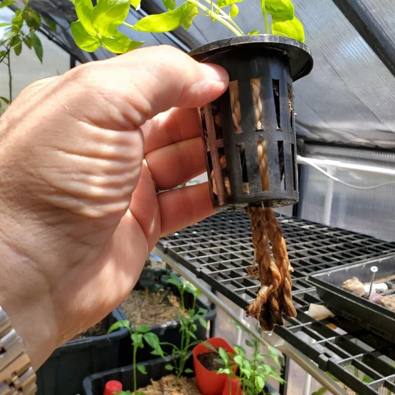 malha ampla lábio filtro planta net pote