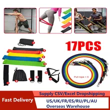17 Pcs/Set Latex Resistance Bands Crossfit Training Exercise Yoga Tubes Pull Rope,Rubber Expander Elastic Bands Fitness with Bag