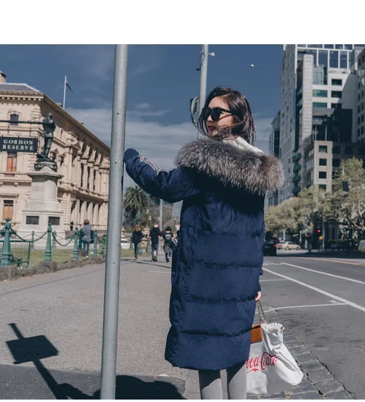 Photo Shoot Contrast Color Webbing Large Fur Collar Hooded Cotton-padded Clothes Women's CHIC Textured Dark Blue Velvet Loose-Fi