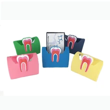 1pcs Dentist Gift Cute Card Holder For Dental Clinic Colorful Rubber Teeth Molar Shape Phone Card Name Storage Dsiaply Stand