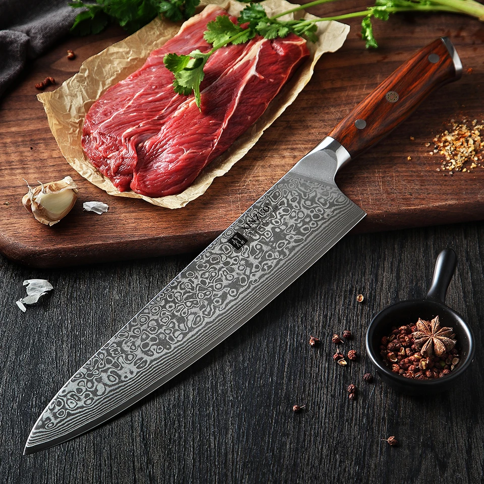 Professional 10 Inch Japanese Damascus Chef Knife