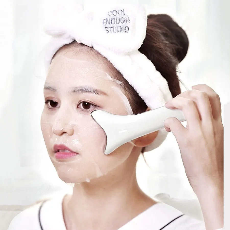 MicroCurrent Cellulite Massage Facial Lift Massager EMS Beauty for