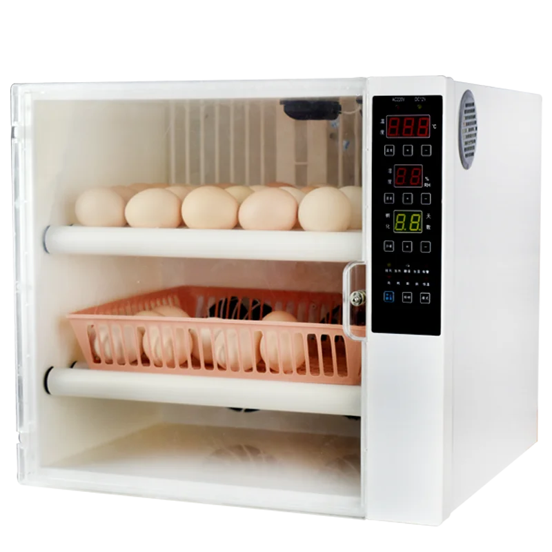 

Automatic Incubator Household Small and Medium Incubator Chicken Hatching Box Pheasant Duck Goose Pigeon Hatchery
