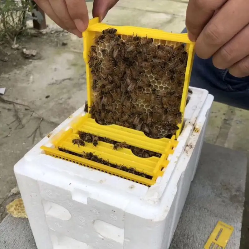 New Bee опыление коробка Пчеловодство чехол оборудование для дома в виде пчелиных сот инструменты садового урожая