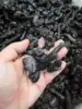 Rare Carbonado Black Diamond  Specimen 3