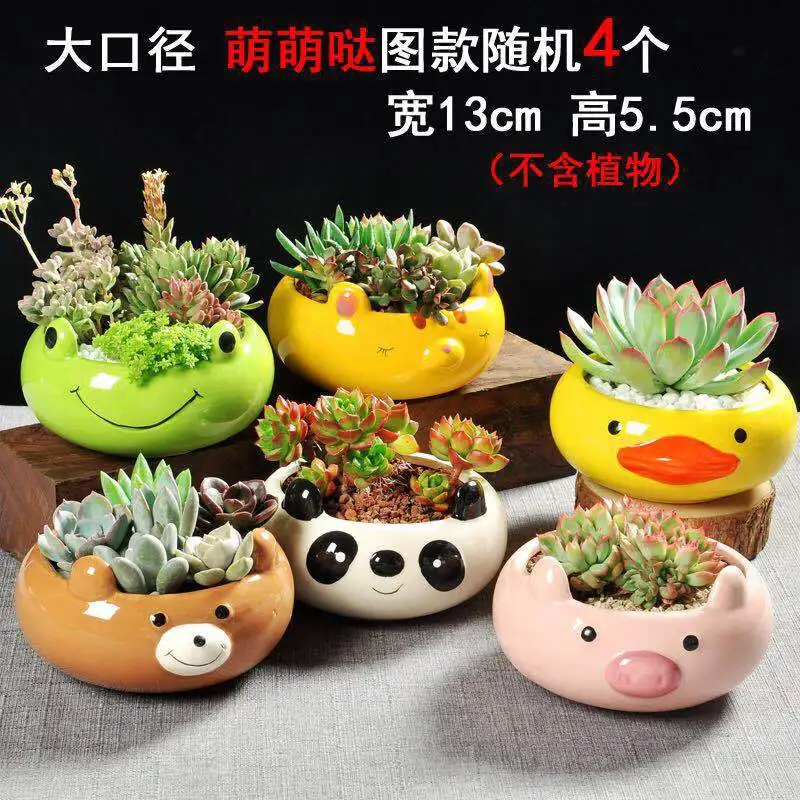 Succulent Pots 6 Pack Mini Ceramic Pots Small Flower Planter, Bonsai Cactus Pot with Drainage Hole Perfect Decoration Gift - Цвет: PACK P-4PC