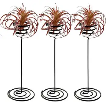 

Air Plant Stand Holder Air Plant Base Container Tabletop Planter Tillandsia Planter Racks(3 Pack)