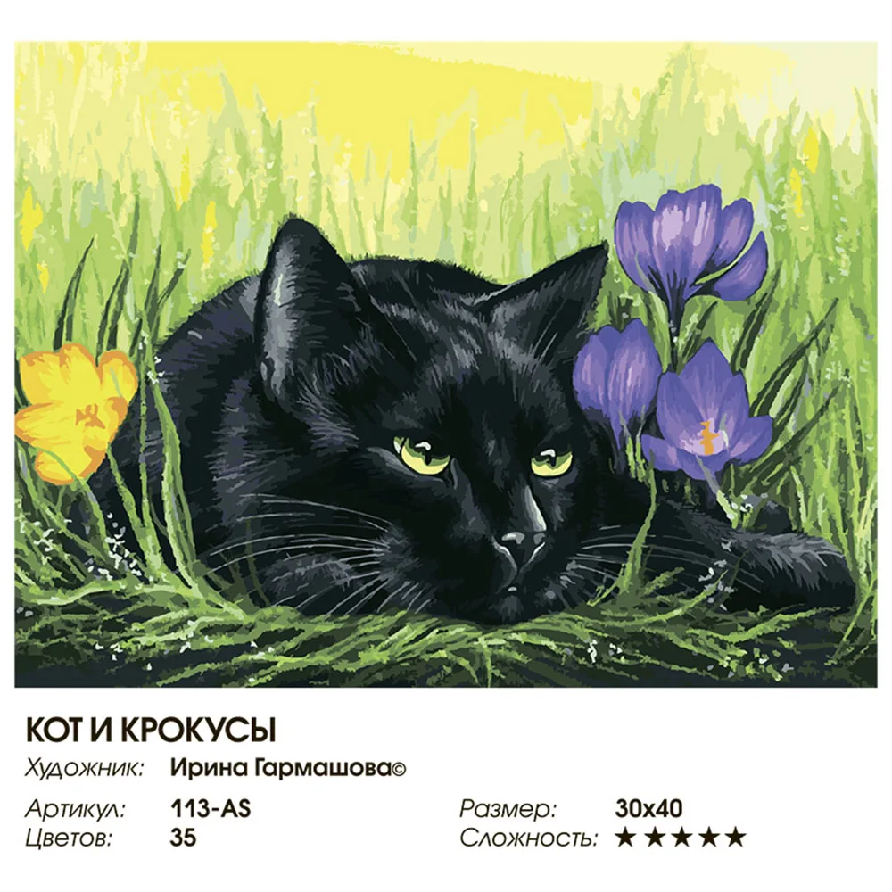 Живопись по номерам 30* 40 Белоснежка. Холст на подрамнике. Кот и крокусы