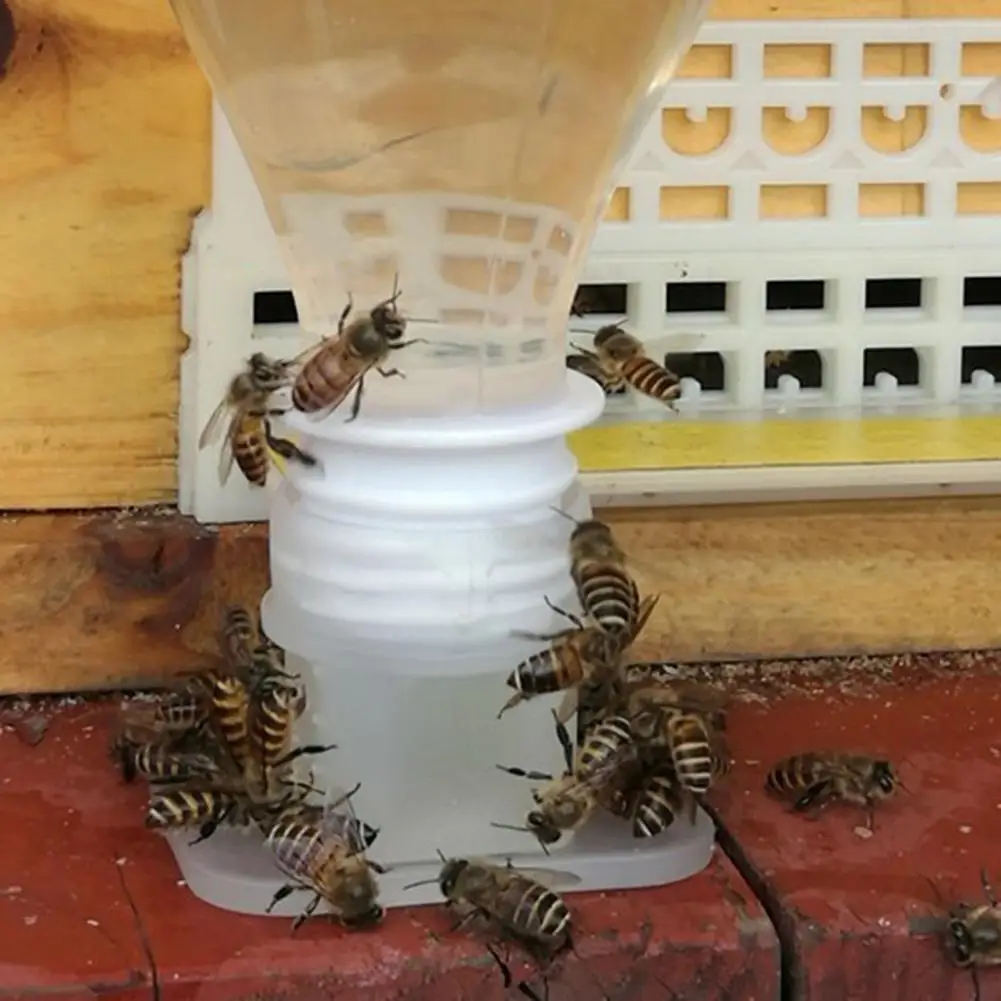 2x Bee Trinkbrunnen Biene Bienenkönigin Wasserverteiler Zubehör 4H 