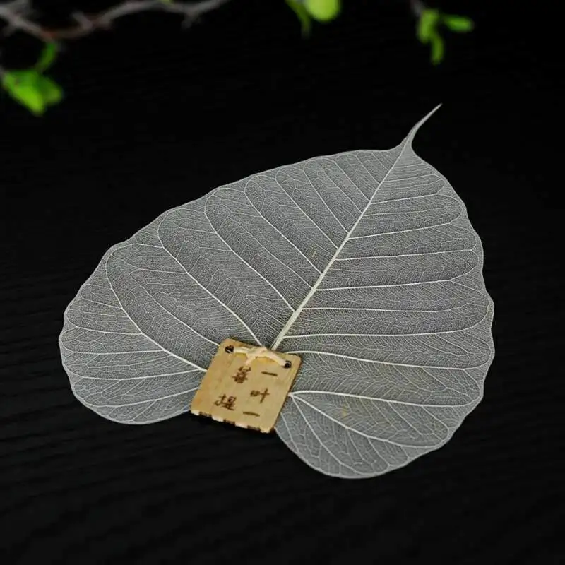 KR0169W (10)