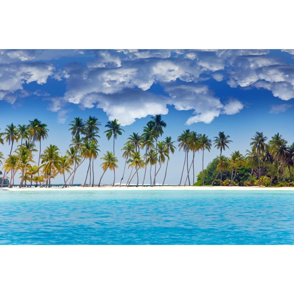 

Summer Tropical Sea Seaside Palm Tree Sky Cloud Scenery Nature Backdrop Vinyl Photography Background For Photo Studio Photophone