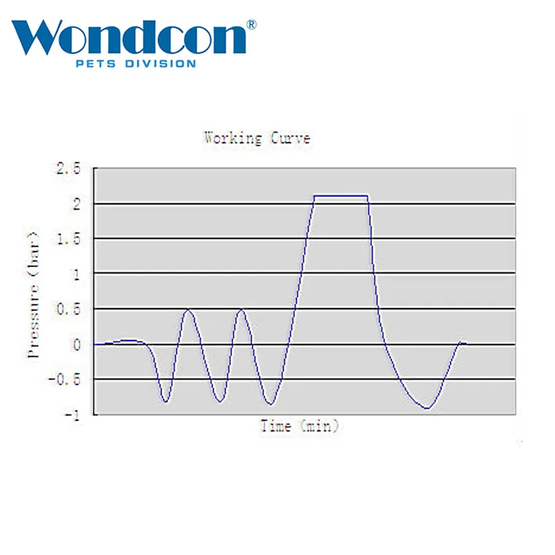 Wondcon WMS-185260KS ветеринарная быстрая стерилизация KS кассета паровой стерилизатор автоклав стерилизатор