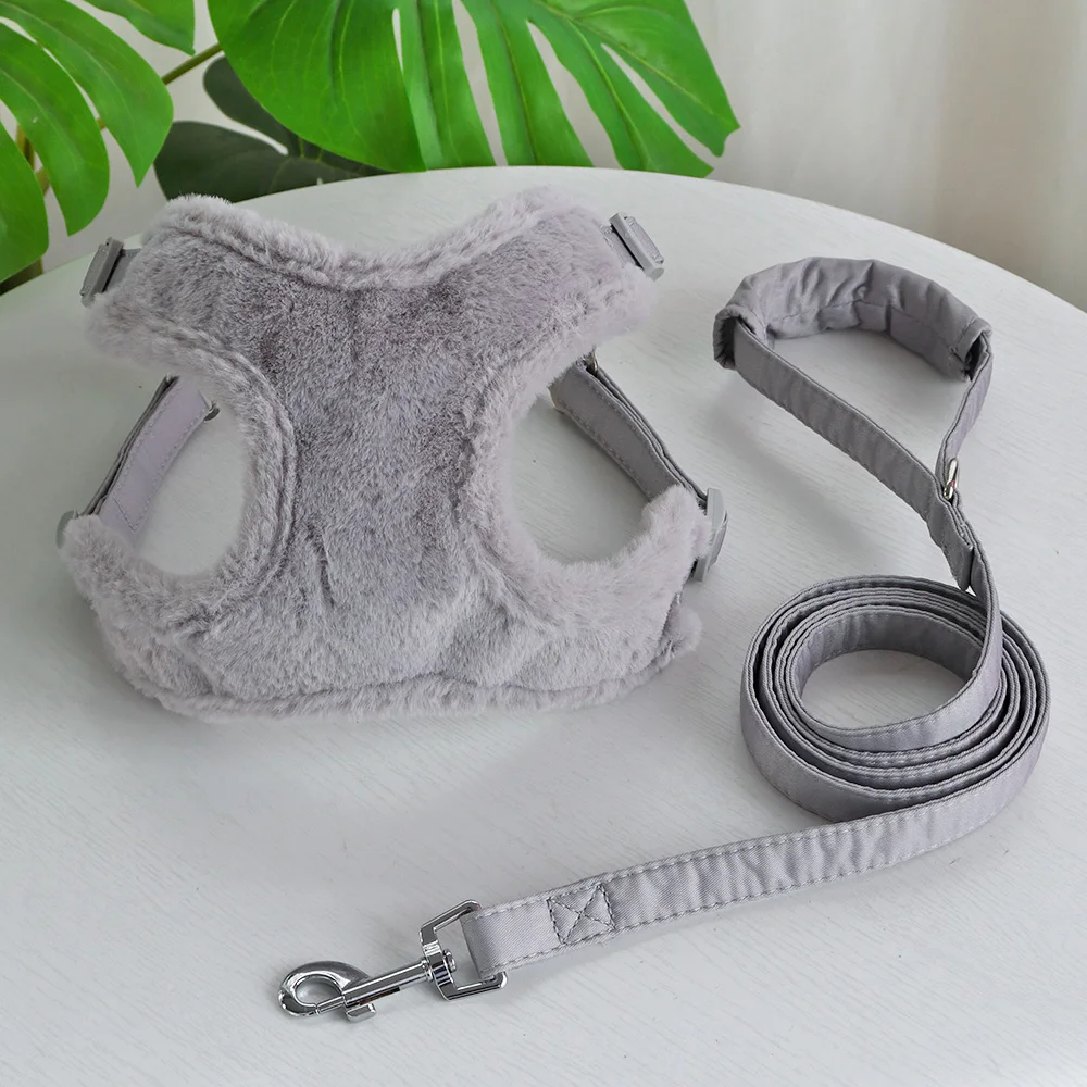 Harnais Et Laisse Pour Petit Chien - Maille Douce, Réfléchissant, Sans Traction, Réglable (taille A)