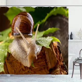 

Shower Curtain Set with Hooks 72x72 Cooking Moss Helix White Pomatia On in Macro Wet Maple Life Leaves Animals Antenna Wildlife