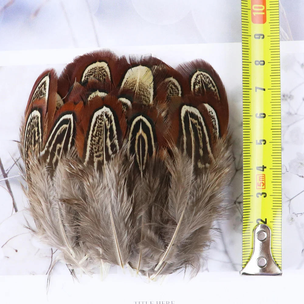 Pheasant Feathers Rooster Feathers Craft Feathers Natural Feathers 50 PCS