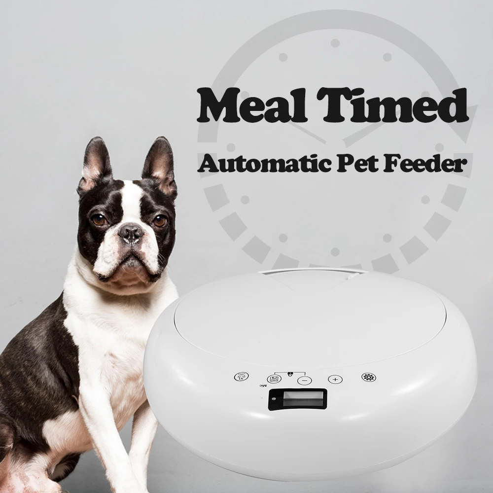 timed dog food bowl