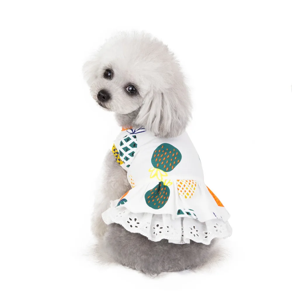 Fruit Design Summer Dress For Dog Pet Clothes Wedding Dress Skirt Puppy Small Dog Clothing Spring Fashion Jean Pet Clothes XS-XL (15)