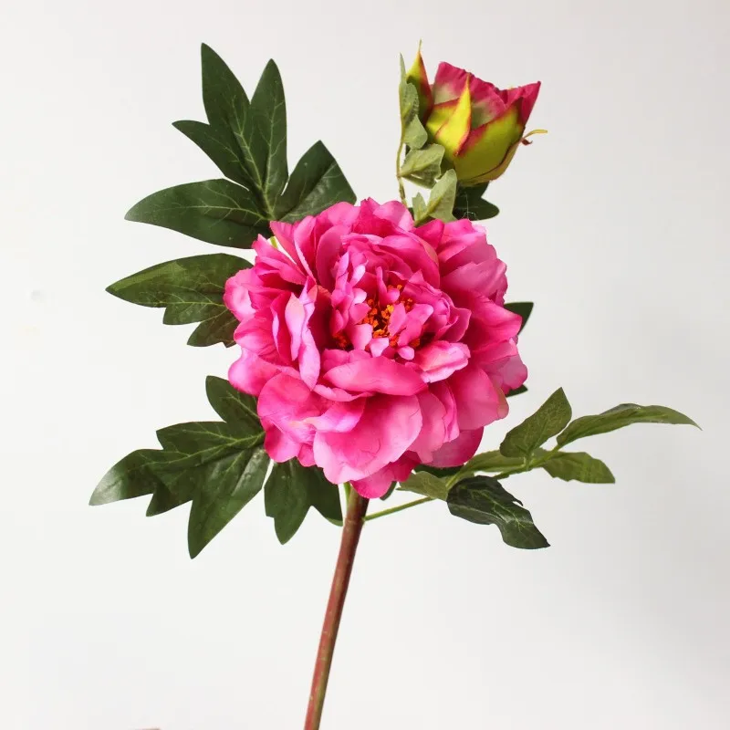 10783158715_2132096240