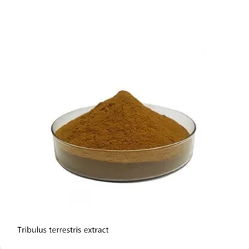 

Natural Tribulus Terrestris extract 600mg x 100 pcs/ Tribulus terrestris saponin high quality