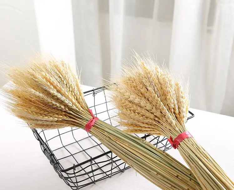 50100Pcs Artificial Wheat Ears Natural Dried Flowers Grain Bouquet For Wedding Party Decoration Three Color JH89 (1)