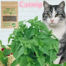 17g catnip 100% natural orgânico premium catnip catmint mentol pode ser polvilhado em brinquedos e catnip brinquedos agradável pet catnip bola