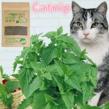

17g Catnip 100% Natural Organic Premium Catnip Catmint Menthol Can Be Sprinkled On Toys And Catnip Toys Pleasing Pet Catnip Ball