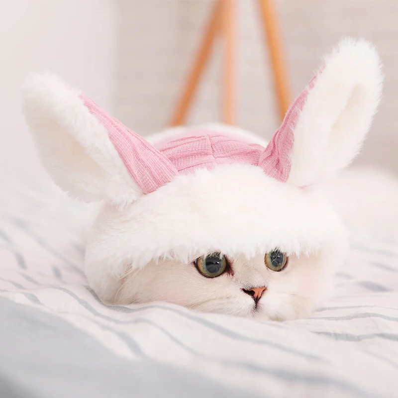 Hoopet Одежда для кошек, зимние куртки для кошек, куртки, костюмы для щенков, одежда для собак, худи для собак, кошек, котят, наряды
