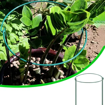 

8pcs Beautiful Plant Support Stand Flowers Support Holder Ring Metal Plant Support Stakes Bonsai Support Backyard Garden Tool