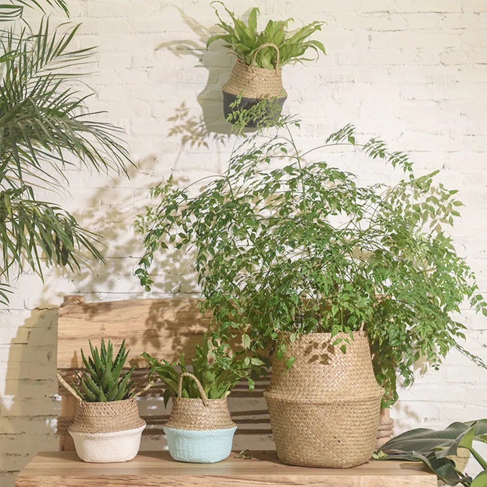 

Seagrass Wicker Basket Wicker Basket Flower Pot Folding Basket Dirty Basket maceteros decorativos grandes macetas para plantas