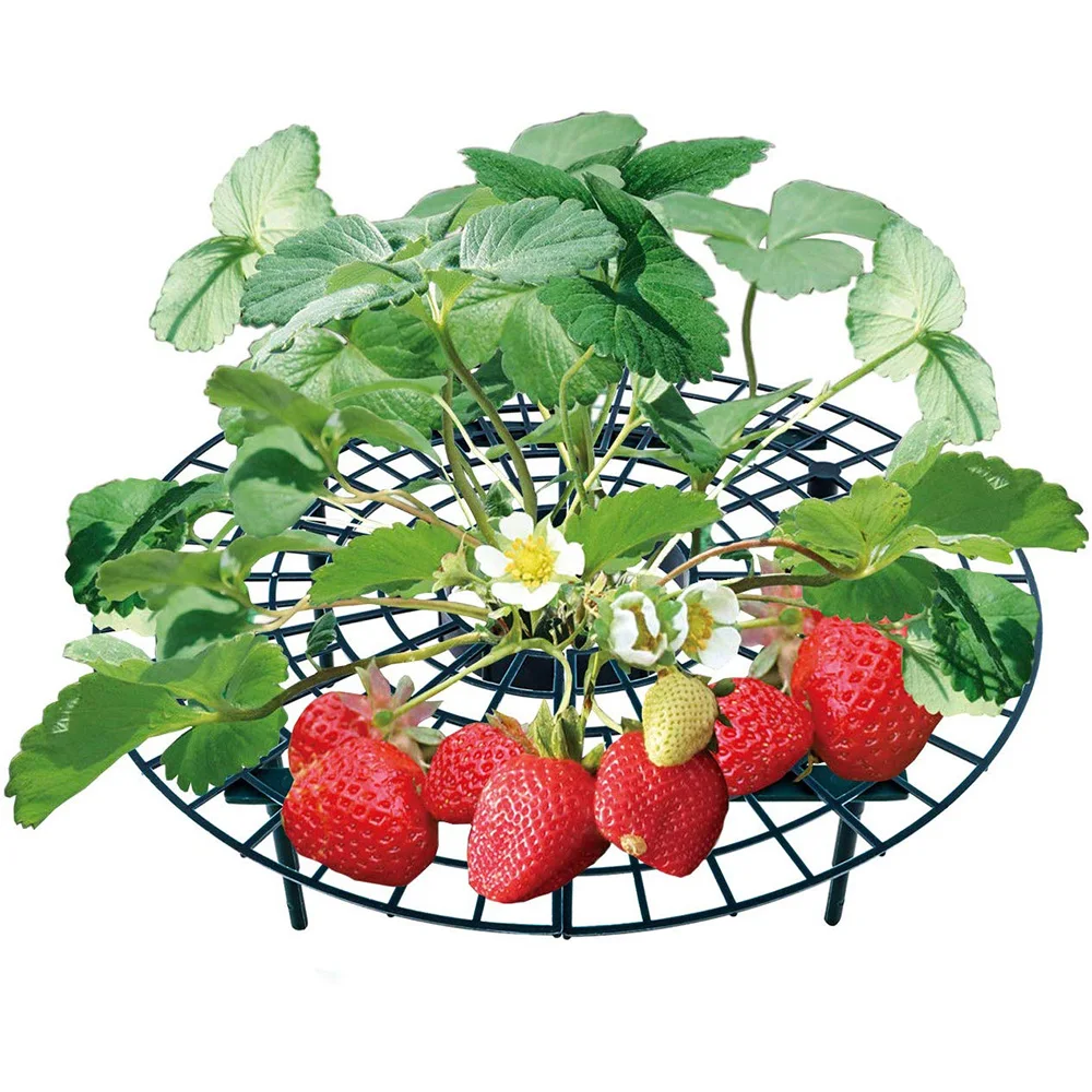 Plant Support Racks Drtools 5/10/20PCS Strawberry Stand Frame Holder Gardening Stand Plant Tray Rack Fruit Support Plant Flower Climbing Vine Pillar