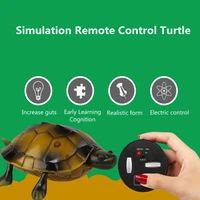 Simulation Swing Walk Remote Control Turtle Anti-wear Tires Eye Lights Early Learning Cognition Realistic Form Electric RC Toys 1