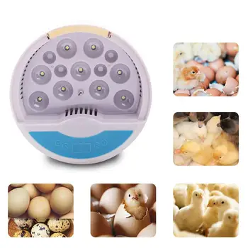 

9 Eggs Incubator Automatic Breeder Home One-button Digital Poultry Hatchery Device For Chicken Duck Quail Birds Egg US EU UK