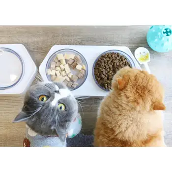 

Adjustable Neck Guard Dual Bowl with Hexagonal Base for Pet Cats Dogs Feeding