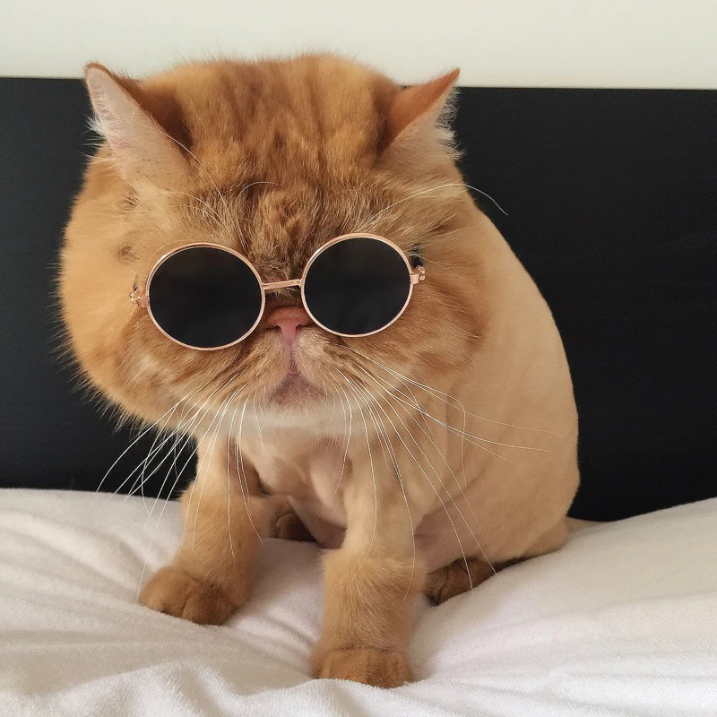 Очки cat John Lennon, Поляризационные солнечные очки в стиле хиппи Для Рейв, вечерние, круглые солнцезащитные очки, круглые линзы в стиле хип-хоп, Funnny Cat