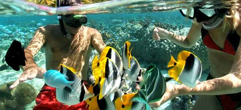 2099742114_712186100_