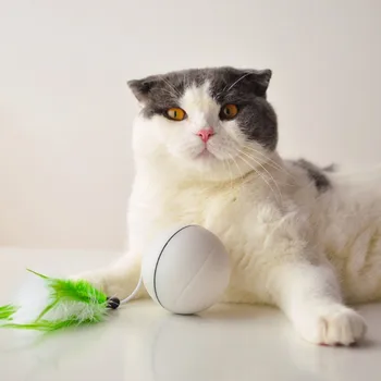 

Pet Supplies Cat Toy laser Ball with Light Dog Ball Molars Chew Training Chewing Rattle Scratch Catch Toy