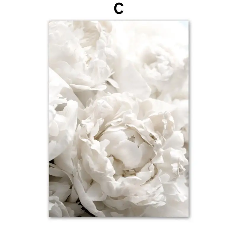 Wall-Art-Canvas-Painting-Bloom-Peony-Rose-White-Flowers-Garden-Nordic-Posters-And-Prints-Wall-Pictures (5)