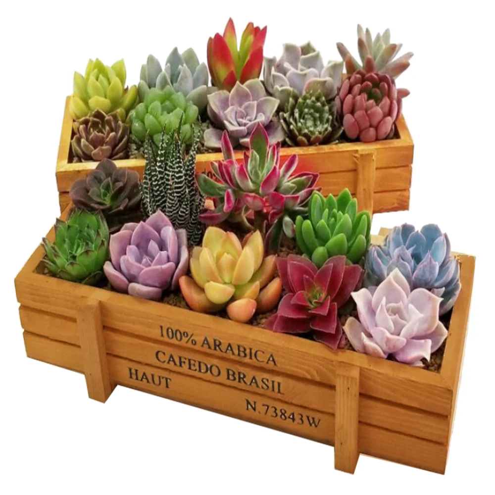 Горшок для садового растения декоративный винтажный суккулентный деревянный ящик ящики прямоугольник стол цветочный горшок садовое устройство