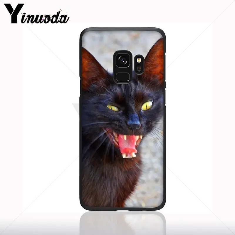 Kucing Hitam Menatap Mata Hitam Lembut Silicone Ponsel Cover untuk Samsung Galaxy S10plus S9 Plus S8plus S10E A50 A70 A10 Case ponsel