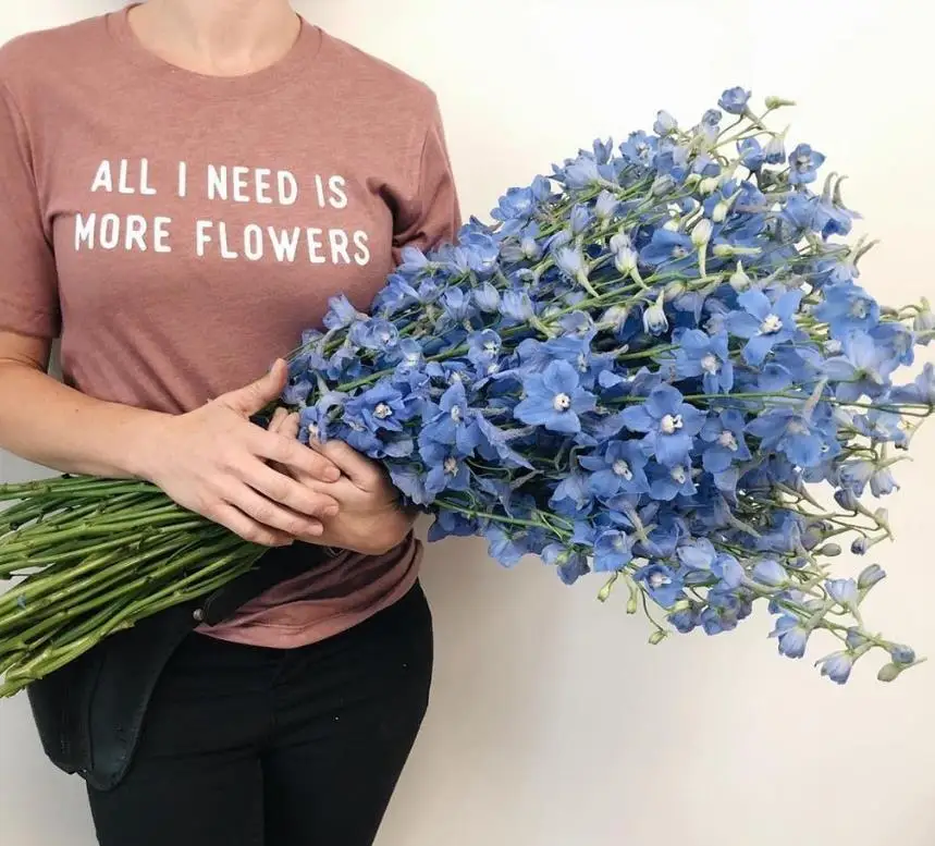 

all i need is more flowers Print Women tshirt Cotton Casual Funny t shirt For Lady Girl Top Tee Hipster Drop Ship NA-307
