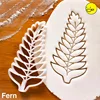 Fern