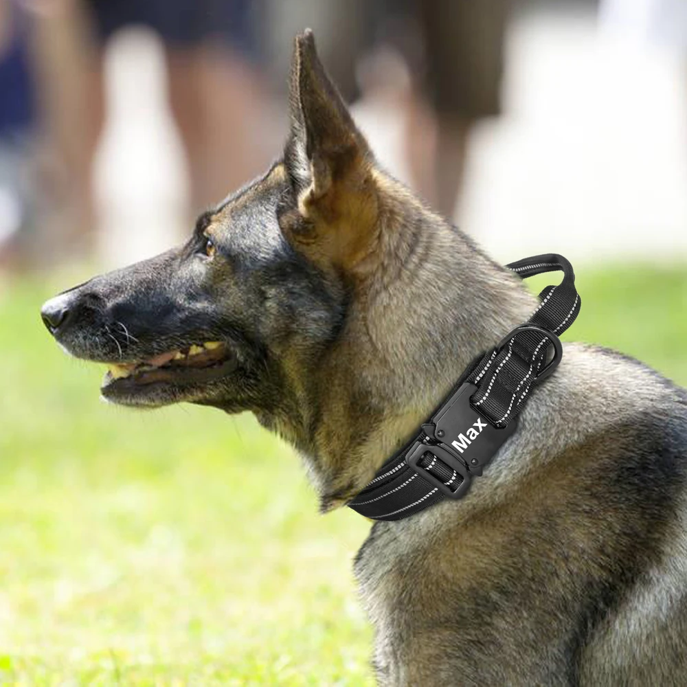 Hacdc0f08484a4800996bf431906f9c66N - Halsband hond met naam en telefoonnummer militair reflecterend volledig adres