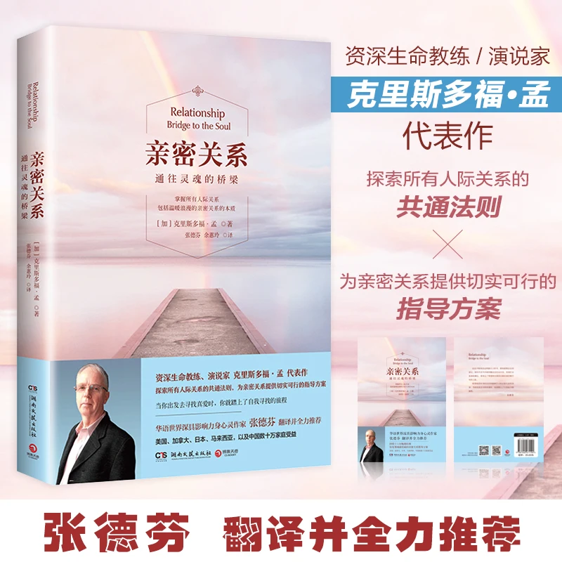 Рисунок 2 - Новые отношения между мостом и душой