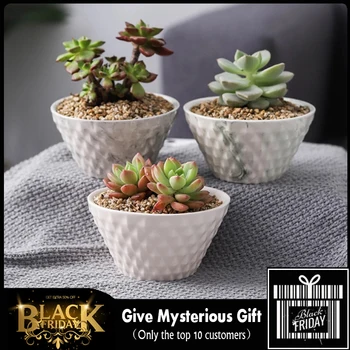 

6PCS Nordic Shell Striped Small Ceramic Pots Marble Pattern Succulent Plant Pot Mini Flowerpot for Cactuses Bonsai Flower Pots