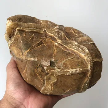 

Natural turtle back stone, original stone, large crystal stone, liu yu